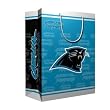 Carolina Panthers NFL Medium Gift Bag (9.75 Tall)"
