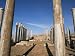 Eastern Basilica, Apollonia, Cyrenaica, Libya, North Africa, Africa Art Photographic Poster Print by Nico Tondini, 12x9