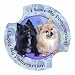 Pomeranian Carsters - Coasters for Your Car