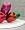 Jeff Koons: Celebration