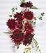 Chianti Sunflower - 25 Seeds