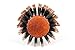 Styling Essentials Natural Boar Bristles Hair Brush, Round Comb Ruled 2.4-Inch