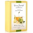 Tea Forte Gourmet Pyramid Box Tea Infusers-White Ginger Pear, 6 ct