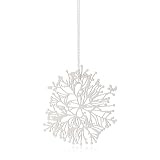 Nervous System Algal Bloom Stainless Steel Nec