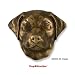 Dog Door Knocker - Labrador Retreiver-Bronze