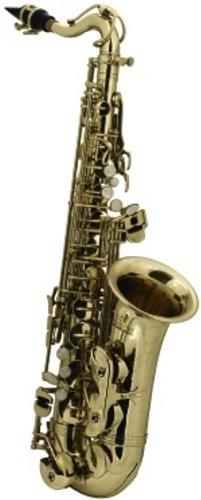 Roy Benson RBAS-201 Eb Children's Alto Saxophone