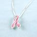 breast_cancer21breast cancer - Sterling Silver Pink Enamelled Pink Ribbon Charm Necklace