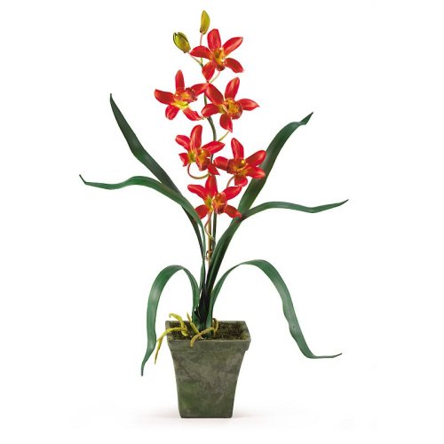 Potted Cymbidium Silk Orchid Arrangement - Red