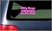 Silly Boys Trucks Are For Girls Vinyl Decal - Pink Window Sticker