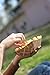 Southern Champion Tray 0525 #300 ECO Kraft Paperboard Food Tray, 3 lb Capacity (Case of 500), Natural