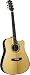 Eko Chetro 6 Deluxe - Natural EQ Acoustic-Electric Guitar