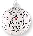 Glass Christmas Ornament,