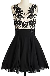 Chiffon Sweetheart Embroidered Illusion Lace Short Evening Dress/Homecoming Dress/Prom Dress/Party Dress 