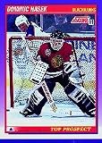1991-92 Score American #316 Dominic Hasek (RC - Rookie Card) (Hockey Cards)