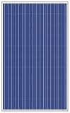 DM 145w Polycrystalline Solar Panel