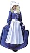 Prairie Lady Dress Wonderful 1800's, Pilgrim or Western Prairie or Pioneer Costume Dress (More "Stonewashed Light Blue" vs Dark as pictured)