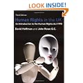 Human Rights in the UK
