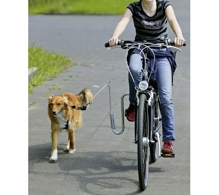 Karlie - Doggy Guide / 08389 - Fixation laisse pour vélo Karlie - Doggy Guide / 08389 - Fixation laisse pour vélo