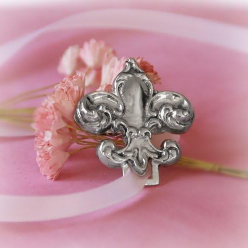 Childrens Girls Jewelry Girls or Boys Fleur De Lis Paci Holder. All Paci-holders Are Shipped Boxed with Ribbon Attached. Easy "Clip" on Backside for Attaching to Baby's Outfit. Pacifier Holder