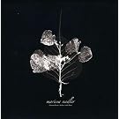 Diamond Heart Leather [Vinyl Single]