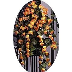 Bougainvillea-H�nger lachs