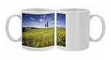 Field of poppies and oil seed with two cypress trees on brow of hill, near Photo Mugs
