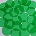 Sequin 40mm Round Shape Vinyl Go Go Trans Green