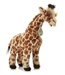 Giraffe Baby Plush, 12 Inches (Mo, Aurora Nature Babies)