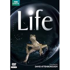 Life on DVD