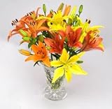 Send Fresh Cut Flowers - 20 Multi-Colored Asiatic Lilies