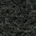Foliage, Conifer Green