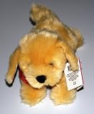 BUTTERCUP LABRADOR DOG