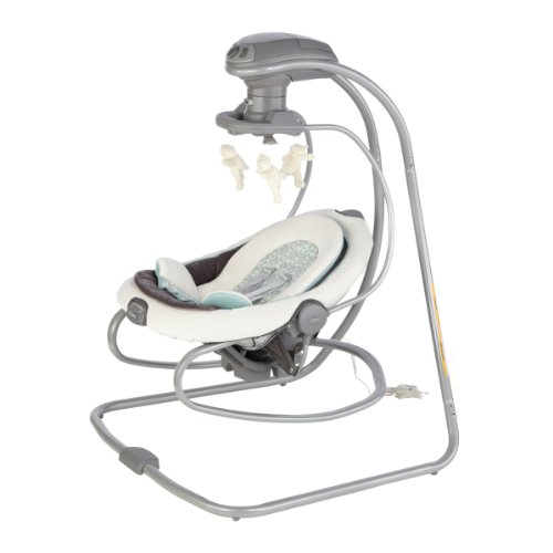 Graco DuetSoothe Swing and Rocker, Winslet Baby Products Store