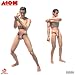 Go Hero ATOModel 12 Inch Figure Body_s-2
