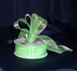 Sheer Organza Ribbon Mono Edge - 5/8" - 25 Yards (75 FT) - Lime Green