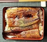 静岡県産　浜名湖のうなぎ長蒲焼（4枚入り／化粧箱入り）