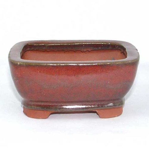 10.5cm Bonsai or Accent Pot - Red Rectangle