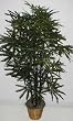 62" Black Bamboo Aralia Tree