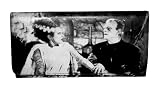 Bride Of Frankenstein Universal Studios Classic Monster Horror Movie Checkbook Wallet