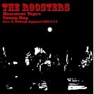 THE BASEMENT TAPES SUNNY DAY LIVE AT �a�JEGGMAN(���W���P�b�g�d�l)