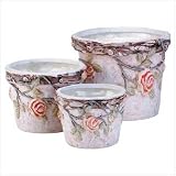 Outdoor Living : Nesting Rose Ceramic Planters