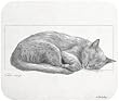 Cat Nap Black White Cat Mouse Pad MousePad