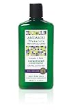 UPC 859975002041 product image for Andalou Naturals Full Volume Conditioner, Lavender Biotin, 11.5 Ounce | upcitemdb.com