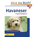 Havaneser: PraxisRatgeber
