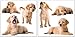 Crearreda CR-54252 Puppies Wall Decals