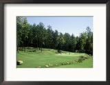 Golf Course Photos To Go Collection Framed Photographic Poster Print by Chip Henderson, 21x17
