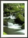 Stream, Great Smoky Mountain National Park, TN Photos To Go Collection Framed Photographic Poster Print by David Davis, 26x36