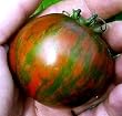 Black Zebra Tomato 15 Seeds -Incredible and fascinating
