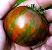 Black Zebra Tomato 15 Seeds -Incredible and Fascinating