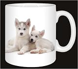 Review Advanta  / HUSKY PUPPIES Coffee Mug